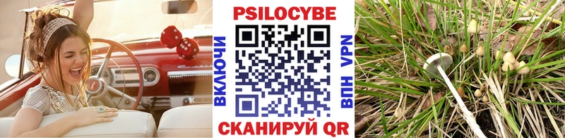 Галлюциногенные грибы Psilocybe  Глазов 