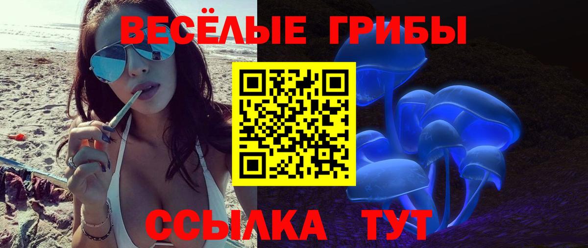 Псилоцибиновые грибы Psilocybine cubensis Глазов